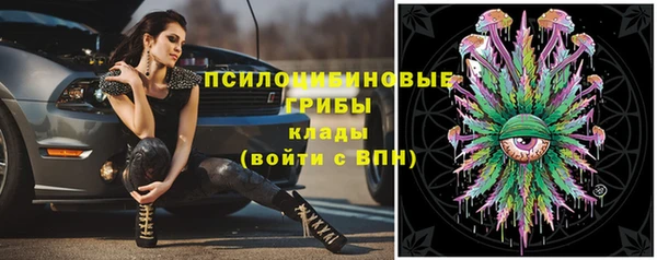 кокаин колумбия Новозыбков