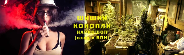 мескалин Новодвинск