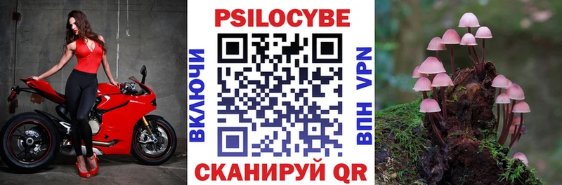 Псилоцибиновые грибы мухоморы Чишмы